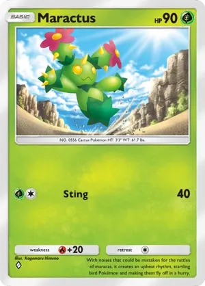 Maractus