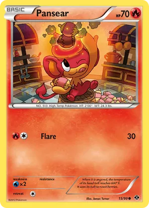 All James Turner Pokémon Cards