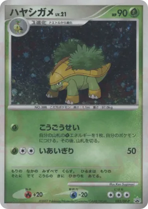 Grotle | Pokémon Cards and Details | pkmn.gg
