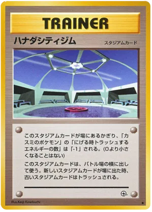 Cerulean City Gym