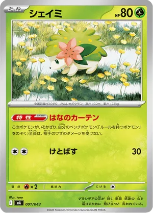 plant pokemon cards Old Back Plant Pokemon Special Set 3 cards