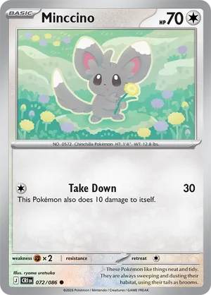 Minccino