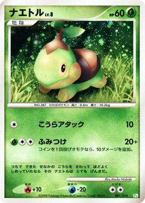 display pokemon cards Pokmon Trading Card Display Frame  Cheevo