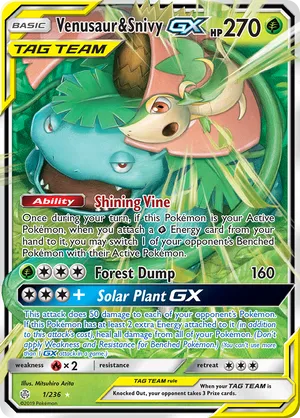 Venusaur & Snivy-GX