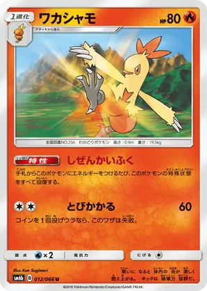 sun bleaching pokemon cards Color variants vs sun bleaching of vintage cards - General