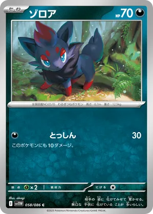 ポケモンカード Zorua　英語版 ゾロア 海外版 英語版 Zorua - 031/064 -【Card Chicken】