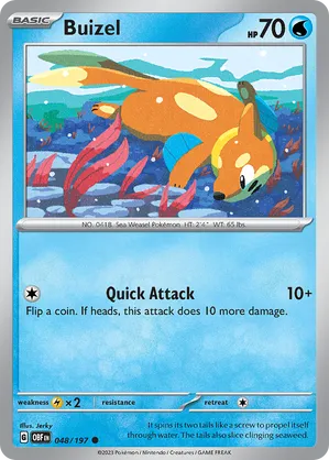 Buizel