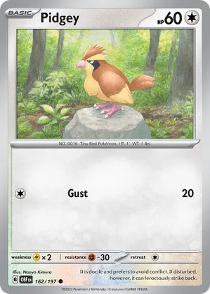 Pidgey