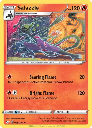 best toploaders for pokemon cards Perfect Fit Toploaders – Precision TCG Card Protectors (50 Pack) –  CollectaBeast