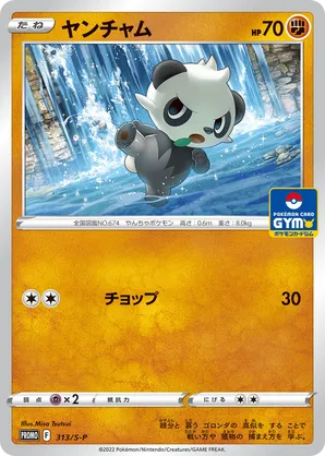 pancham pokemon card value Most Expensive Pancham Pokémon Cards