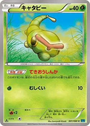 【正規品質保証】 and Track | Blaze Wild Price pkmn.gg | Cards Pokemon その他