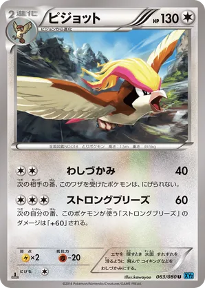 Pidgeot | Pokémon Cards and Details | pkmn.gg