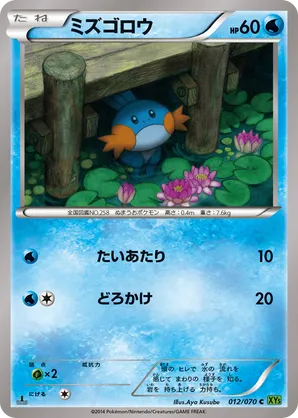Mudkip | Pokmon Cards and Details | pkmn.gg