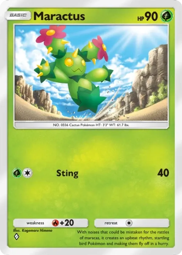 Maractus
