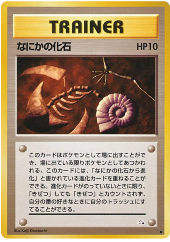Mysterious Fossil