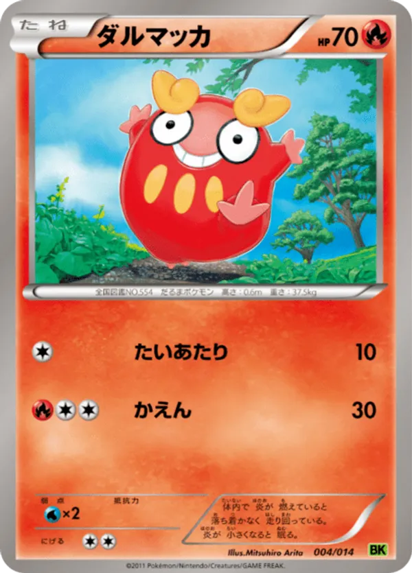 Darumaka