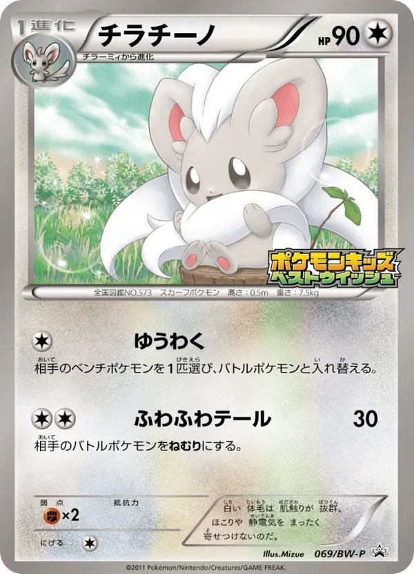 Cinccino