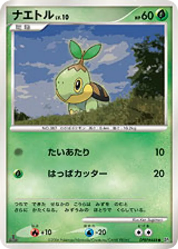 Turtwig