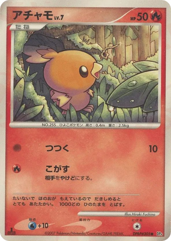 Torchic