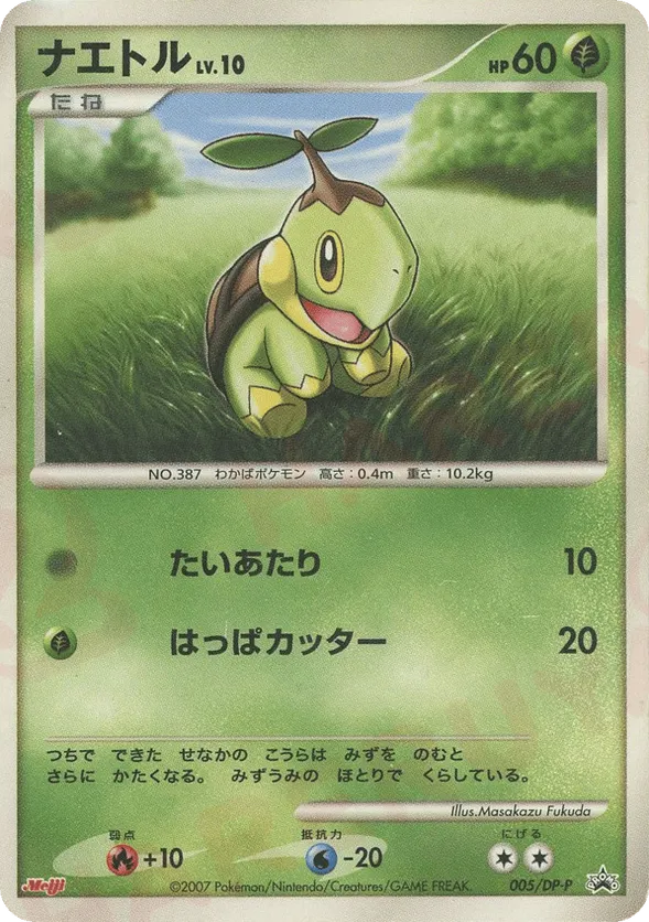 Turtwig
