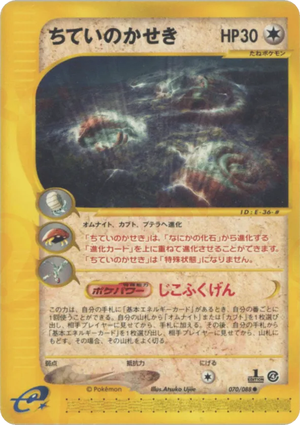 Buried Fossil