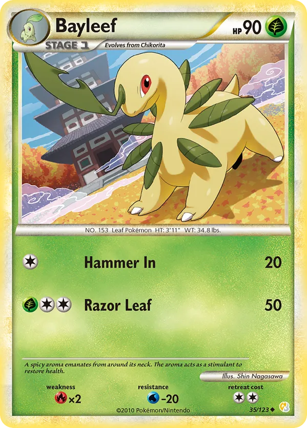 Most Expensive Bayleef Pokémon Cards