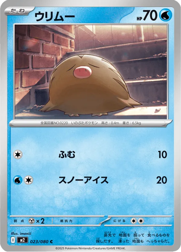 Swinub