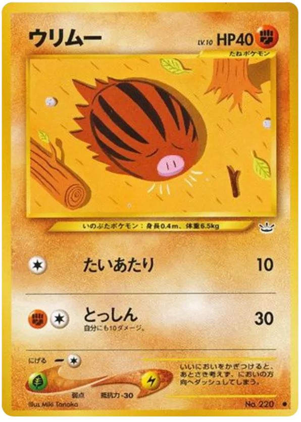 Swinub