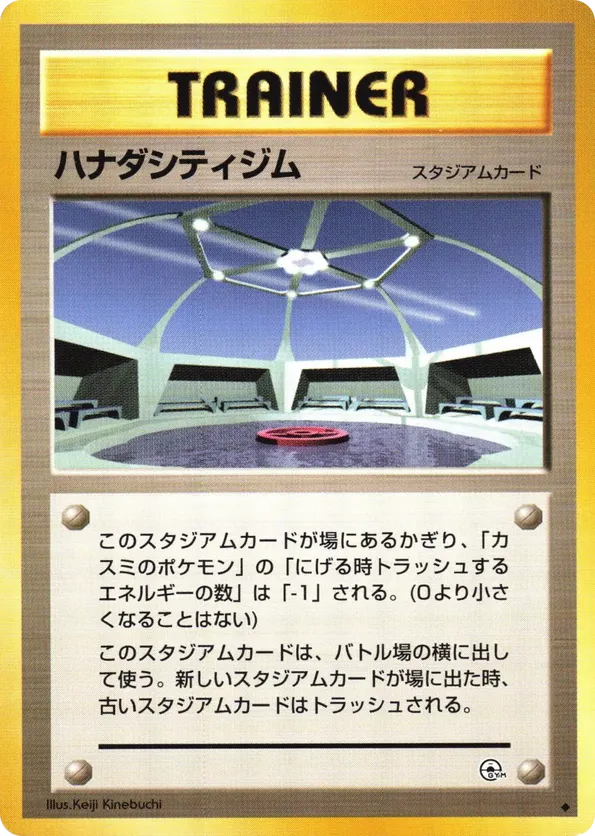 Cerulean City Gym