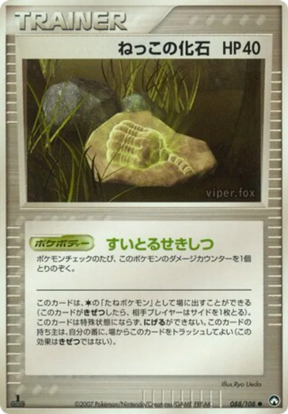 Root Fossil
