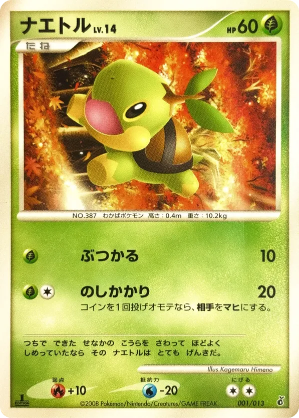 Turtwig