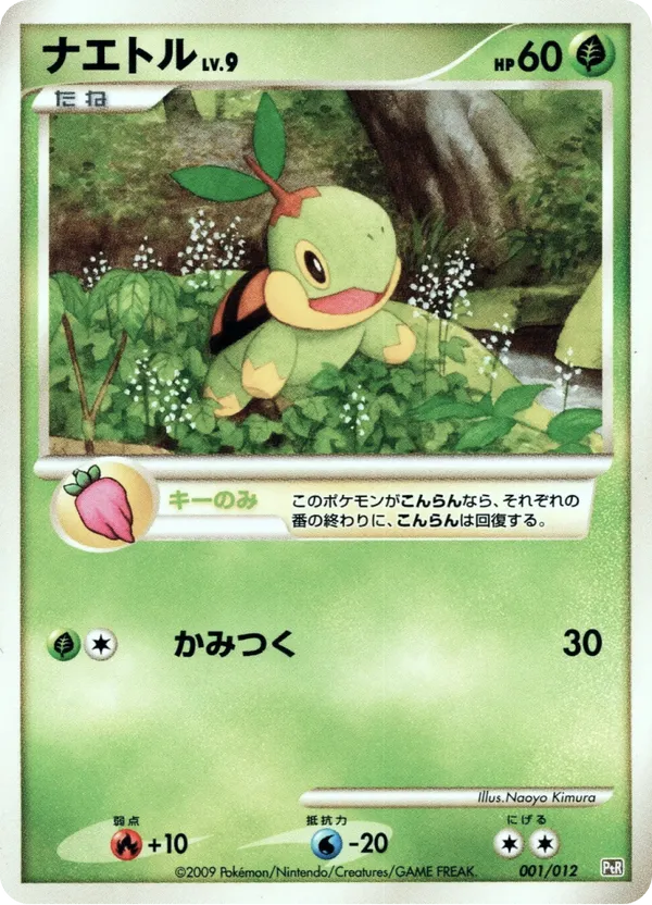Turtwig | Pokmon Cards and Details | pkmn.gg