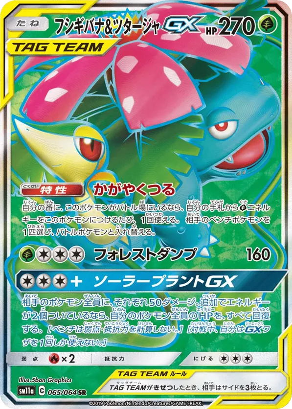 Venusaur & Snivy-GX