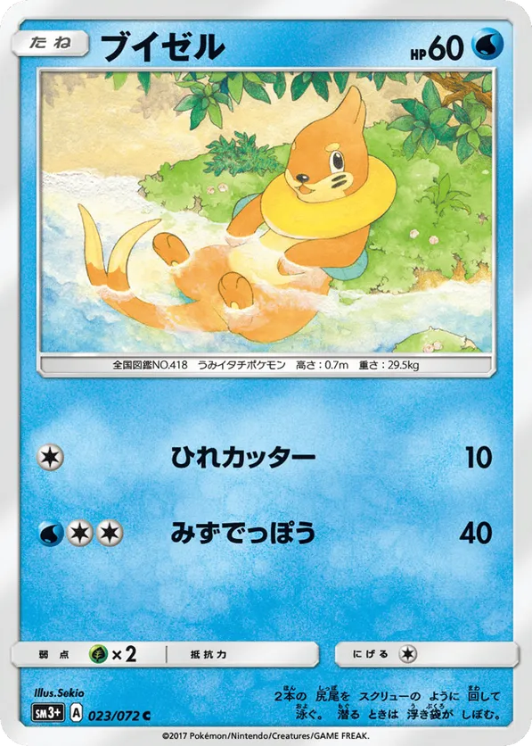 Buizel