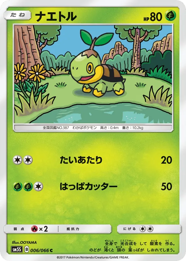 Turtwig