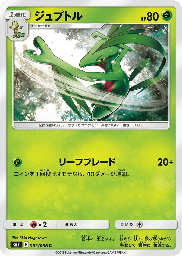 Grovyle | Pokmon Cards and Details | pkmn.gg