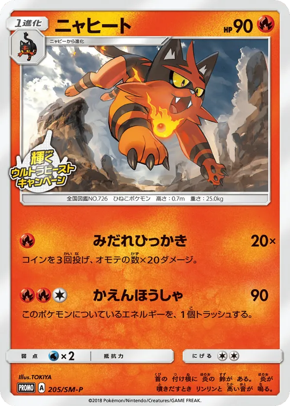 Torracat