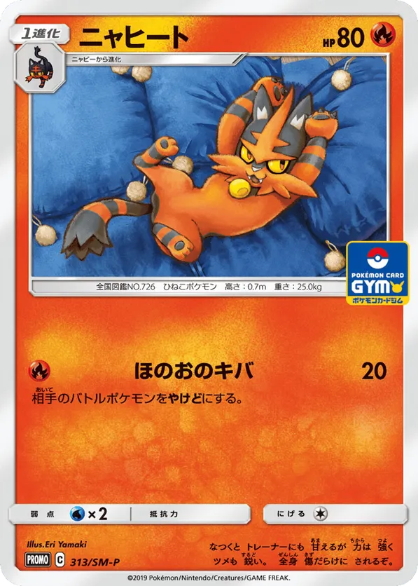 Torracat