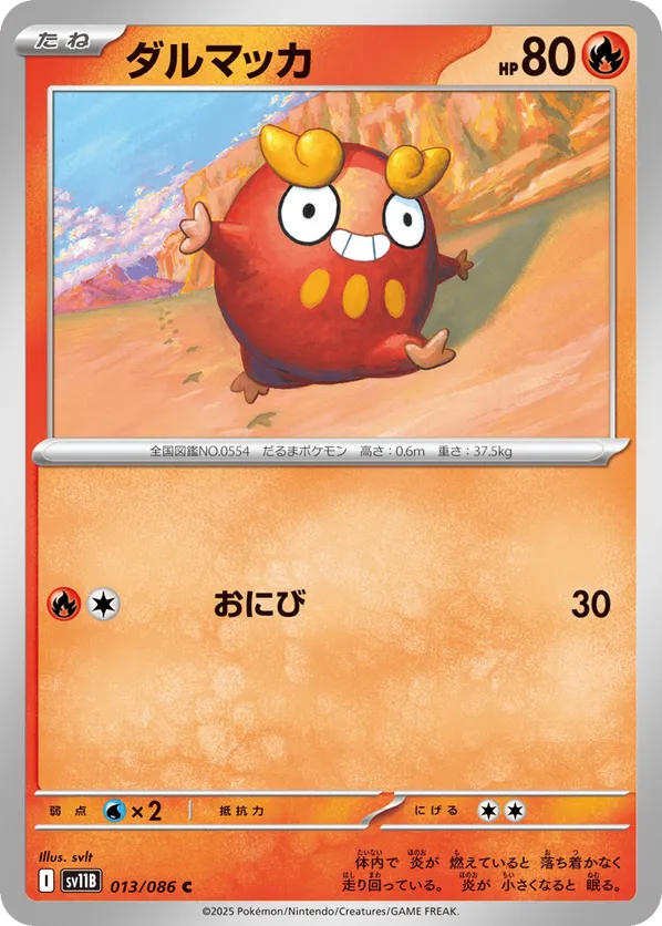 Darumaka