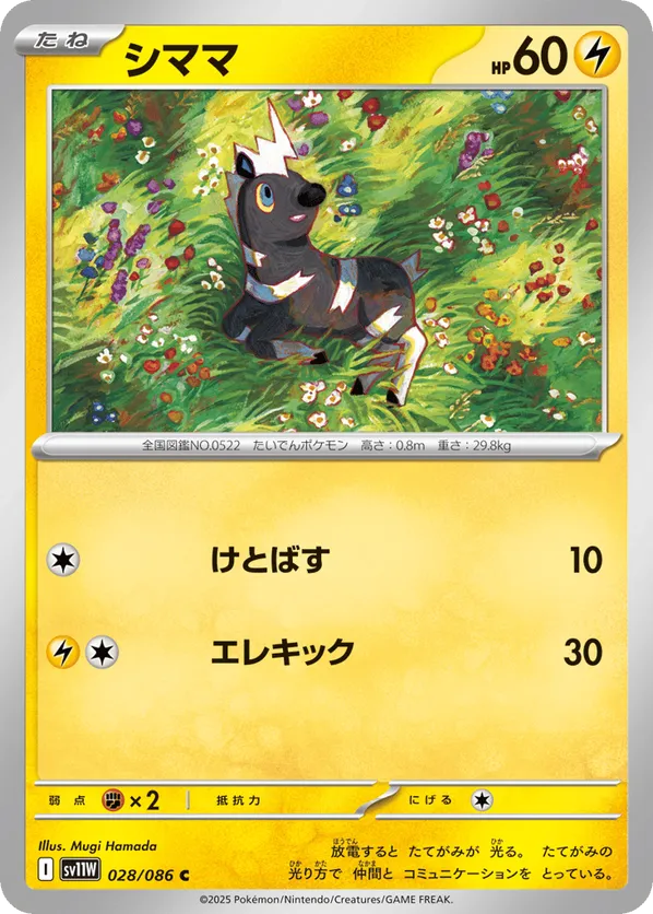 buzzwole pokemon card Buzzwole GX