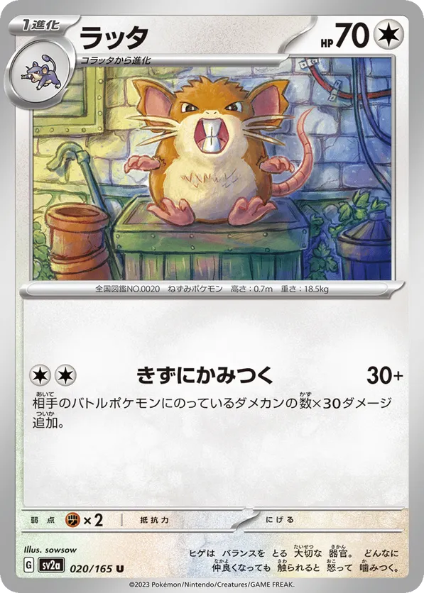Raticate