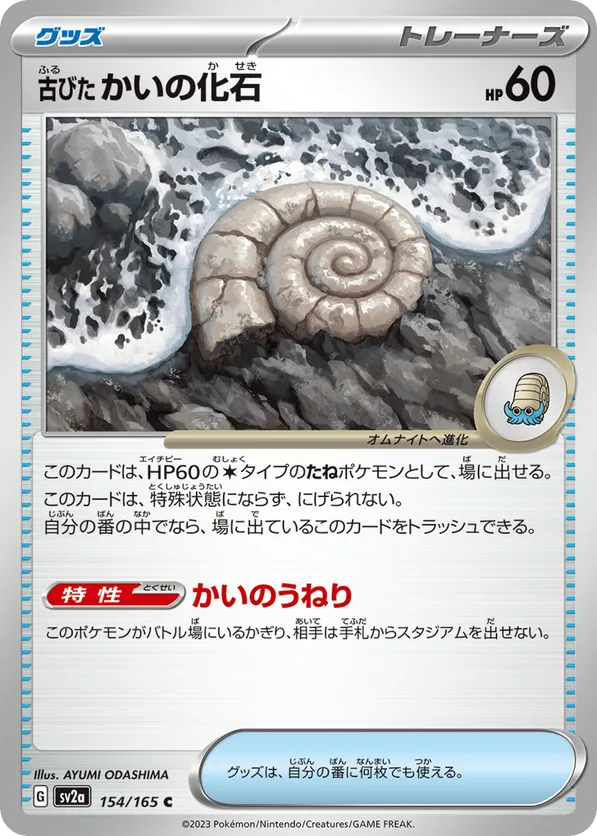 Antique Helix Fossil