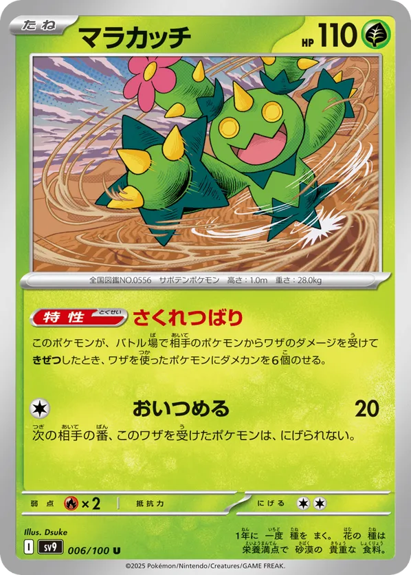 Maractus