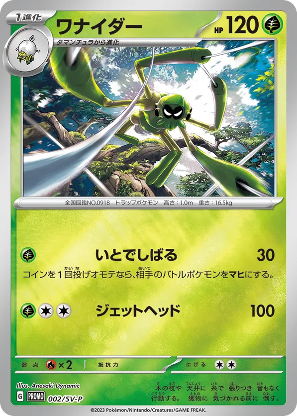 Spidops