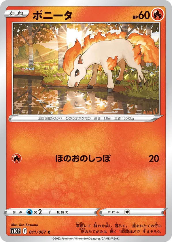 Ponyta