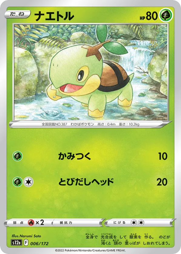 Turtwig