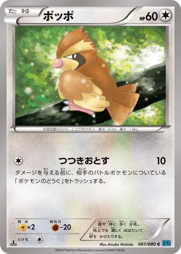 Pidgey