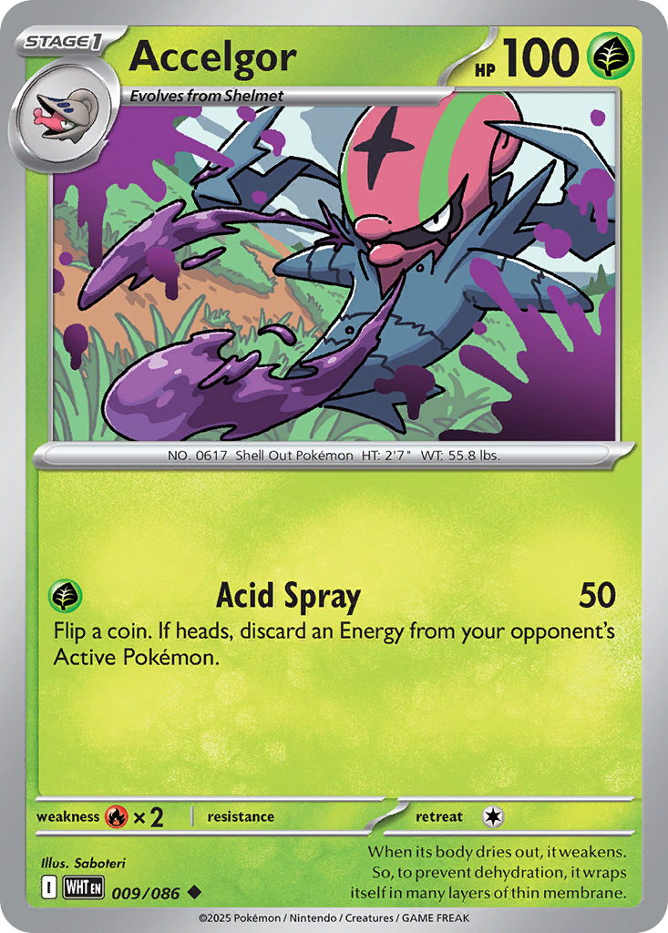 accelgor pokemon card Accelgor 13